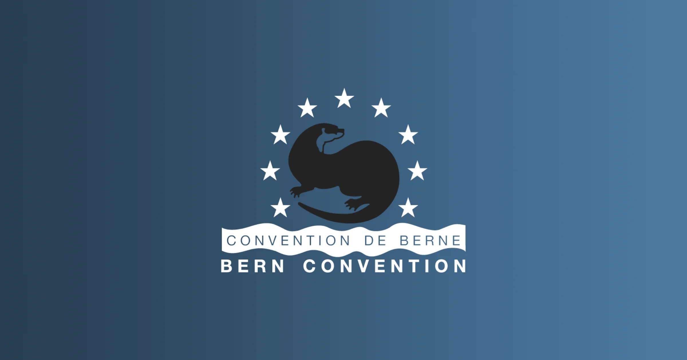 Bern Convention